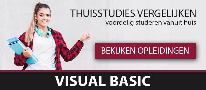 thuisstudie-hbo-visual-basic